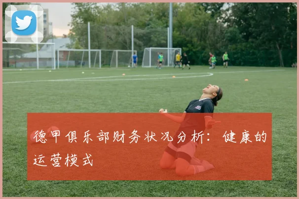 德甲俱乐部财务状况分析：健康的运营模式